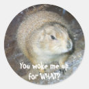 Suche nach marmot aufkleber Nagetier