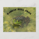 Suche nach frog postkarten Grün