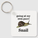 Suche nach schnecke schlüsselanhänger Natur