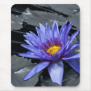 Suche nach nymphen mousepads Natur