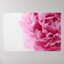 Suche nach rosa pfingstrosen poster Hübsch