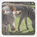 Suche nach gräser aufkleber Safari