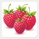 Suche nach himbeere aufkleber Beeren
