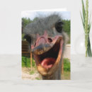 Suche nach ostrich karten Vogelvogel
