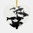 Suche nach orca schmuck Wild lebende tiere