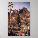 Suche nach wüstenkaktus poster Natur