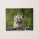 Suche nach luchs puzzle Natur