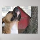 Suche nach tyrann poster Hund