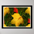 Suche nach autumn leaves poster Blatt