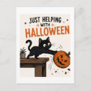 Suche nach lustige schwarze katze postkarten Für katzenliebhaber