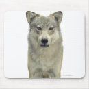 Suche nach wolf grau mousepads Vertikal