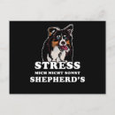 Suche nach hundetraining postkarten Spaß