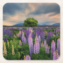 Suche nach lupine untersetzer Landschaft