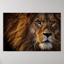 Suche nach lion poster Tiere