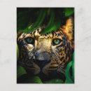 Suche nach jaguar postkarten Dschungel