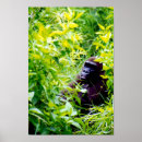 Suche nach baby gorilla poster Wild