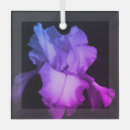 Suche nach iris ornamente Lila
