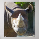 Suche nach säugetiere poster Rhino