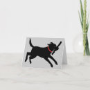 Suche nach retriever karten Labrador