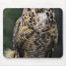 Suche nach körper mousepads Nordamerika