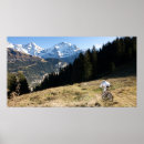 Suche nach abwärts poster Freeride