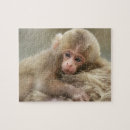 Suche nach säugetier puzzle Affe