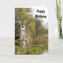 Suche nach whitetail karten Natur