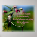 Suche nach hummingbird poster Kolibri