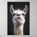 Suche nach lustiges lama poster Alpaka