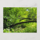 Suche nach waldlandschaft postkarten Natur