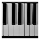 Suche nach piano keyboard poster Musiker