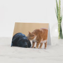 Suche nach hundefoto karten Tier