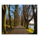 Suche nach kahl poster Landschaft