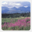 Suche nach yukon aufkleber Nationalpark