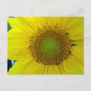 Suche nach spiralen postkarten Blumenreich
