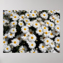 Suche nach dunkler poster Natur