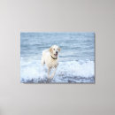 Suche nach vitalität kunst Horizontal