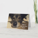 Suche nach reichweite karten Hund