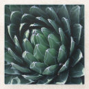 Suche nach agave untersetzer Natur