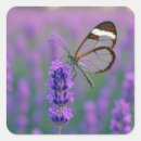 Suche nach lavendelblüten aufkleber Blume