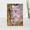 Suche nach schweine karten Lustig