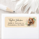 Suche nach cocker spaniel Tierliebhaber
