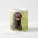 Suche nach hündchen tassen Schön