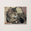 Suche nach schlafend puzzle Haustier