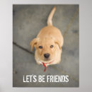 Suche nach labrador welpe poster Portrait