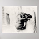 Suche nach gorilla poster Bezaubernd