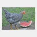 Suche nach geflügel geschirr tücher Henne