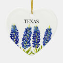 Suche nach lupinen ornamente Texas