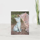 Suche nach küssen der katzen karten Kitty