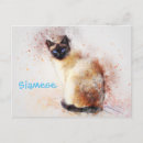 Suche nach siamese cat postkarten Katzen